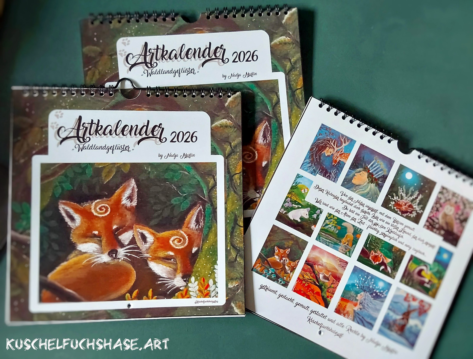 Bild 11
