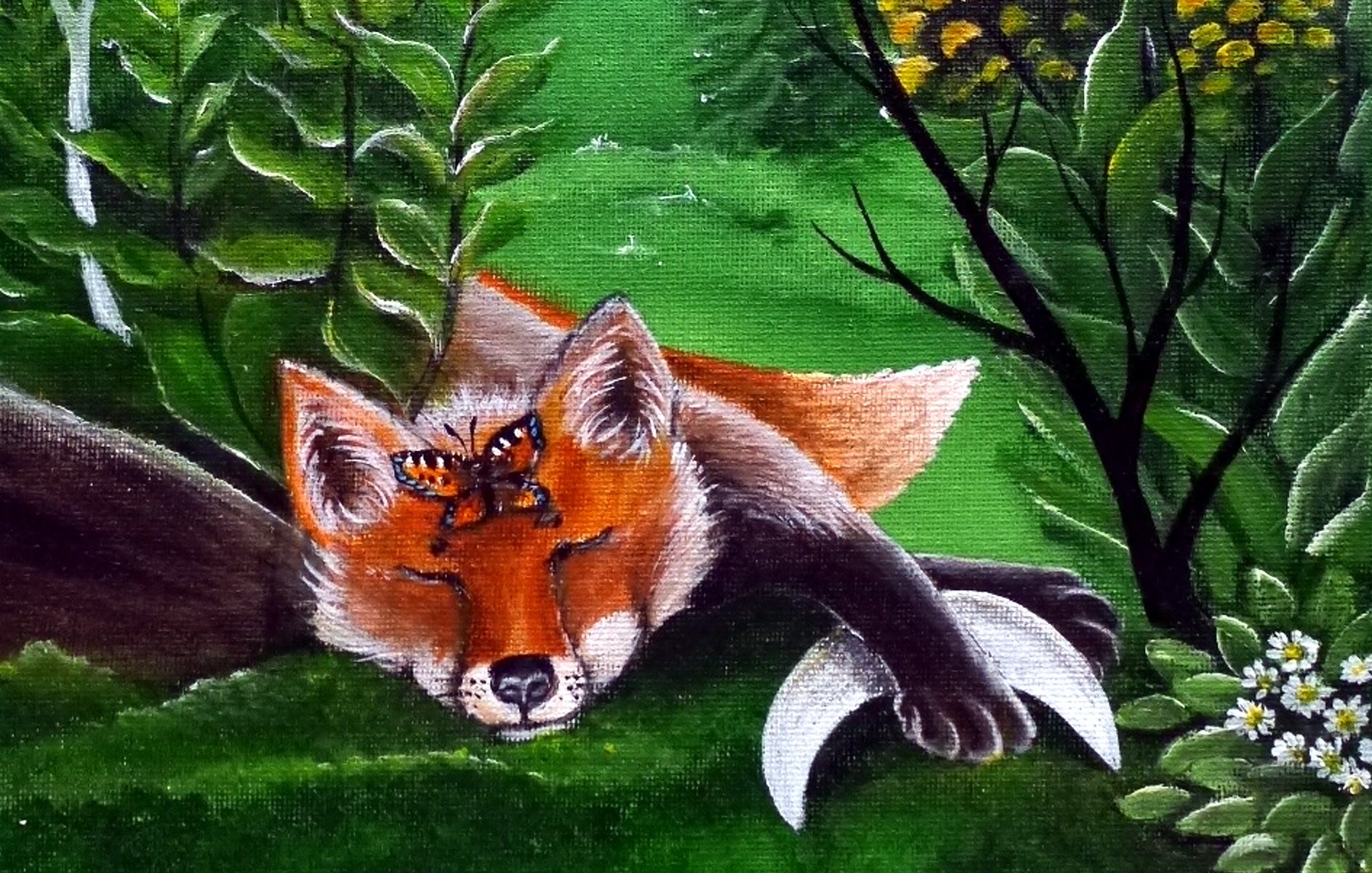 Bild 17